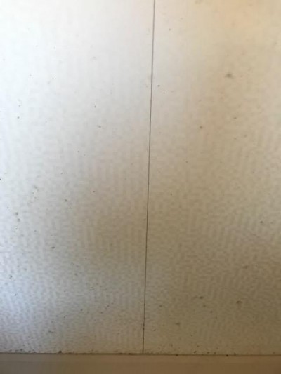 IMG_3178.JPG