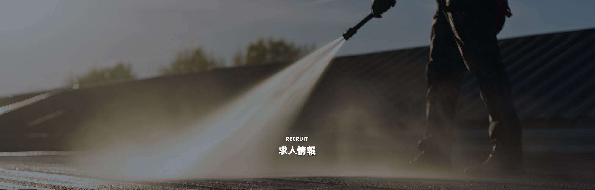 求人情報